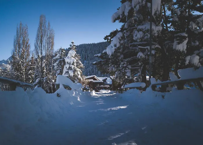 Le Loup Blanc